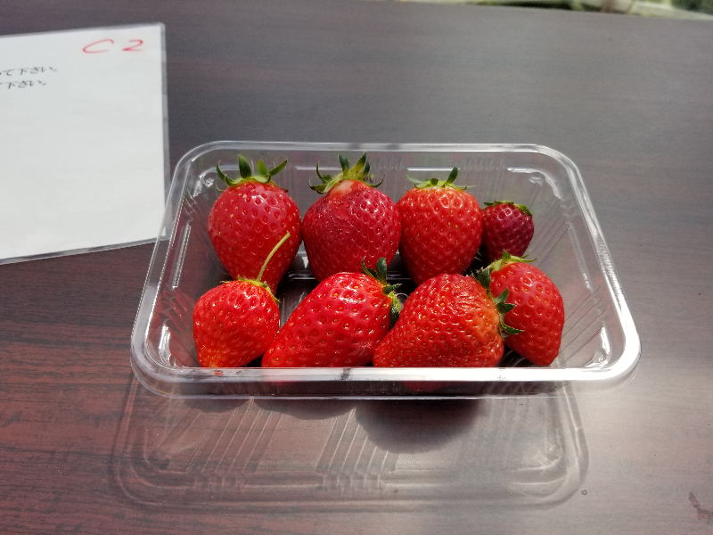 イチゴ食べ比べ